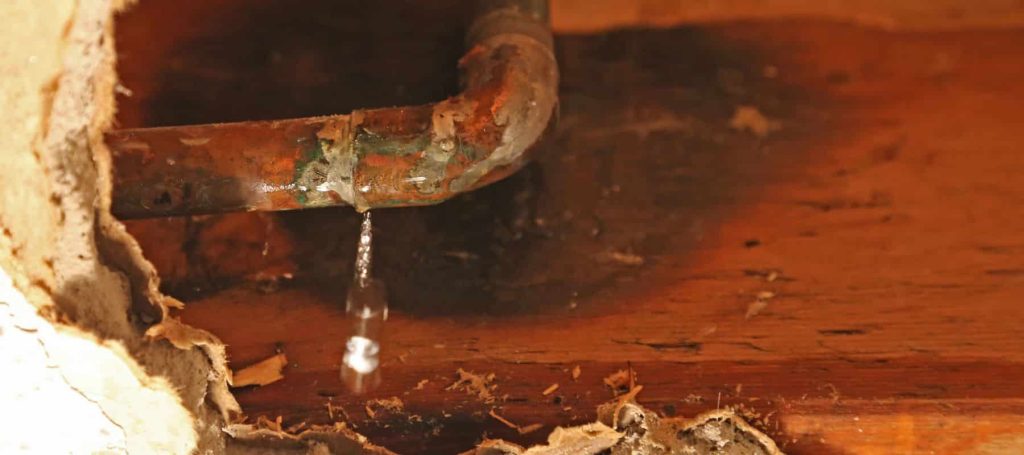 Detecting Hidden Plumbing Leaks in Melbourne, FL