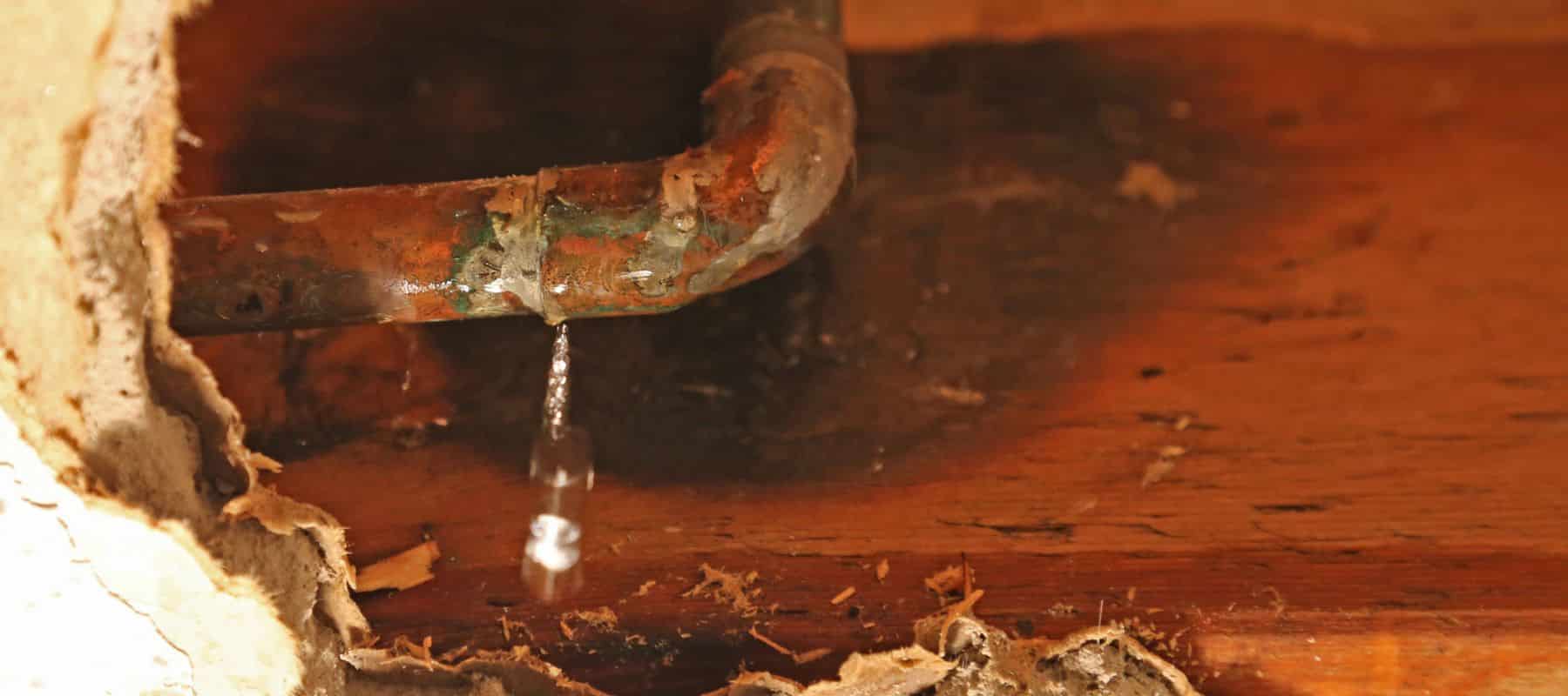 Detecting Hidden Plumbing Leaks in Melbourne, FL